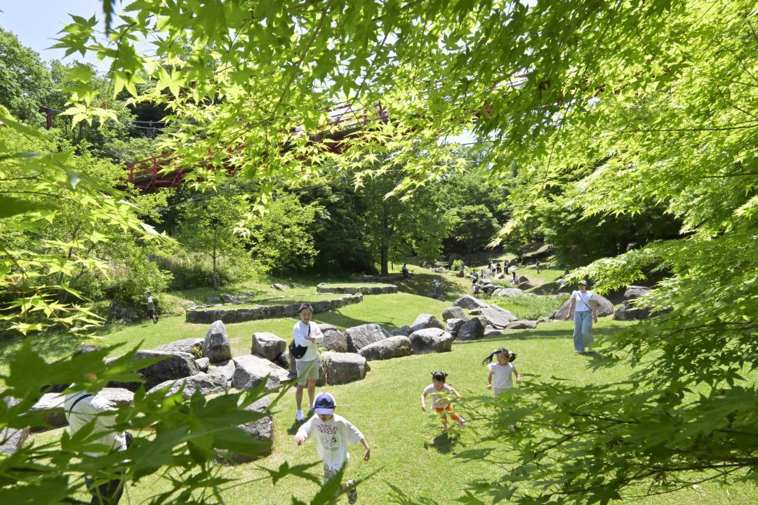 鮮やかな新緑に包まれた涸沼自然公園=4日午後、茨城町中石崎
