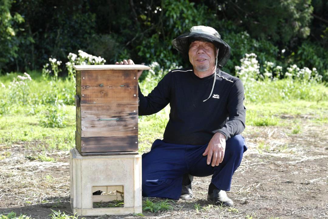 日本ミツバチの世話をする田谷ファームの宮田実さん=水戸市田谷町
