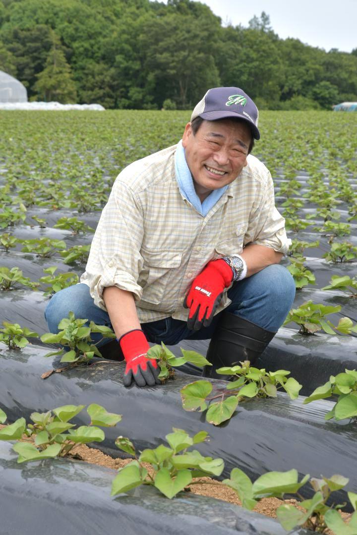 俳優業と並行し、農園でサツマイモ栽培に取り組む赤塚真人さん=2021年6月、行方市内
