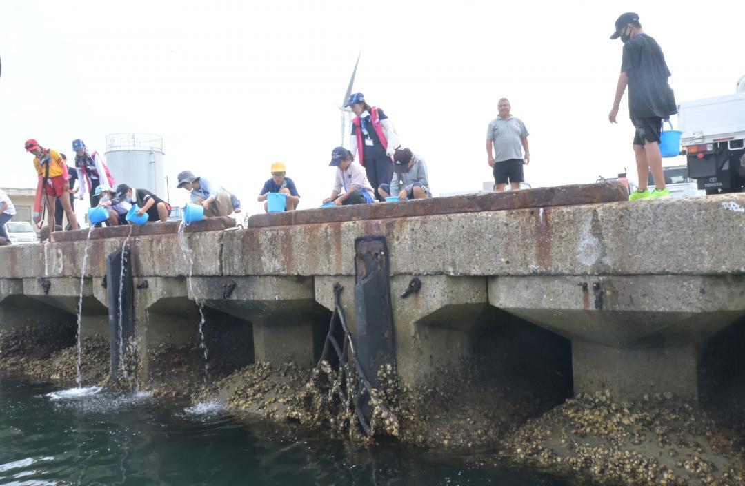 ヒラメの稚魚300匹を放流する子どもたち=鹿嶋市平井
