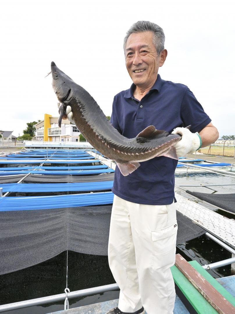 体長1メートルほどに成長したチョウザメを手に笑顔を見せる白田正男さん=桜川市真壁町田
