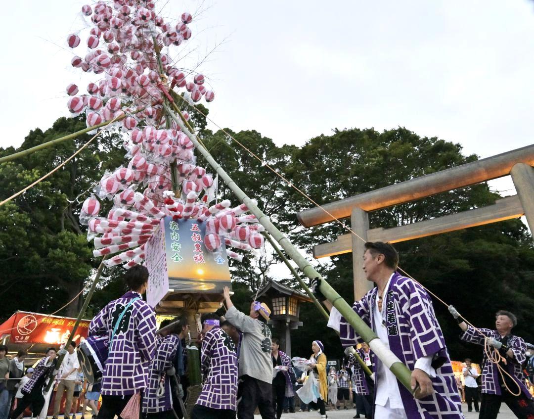 ちょうちんを揺らしながら鹿島神宮へ大青竹を運ぶ氏子ら=鹿嶋市宮中
