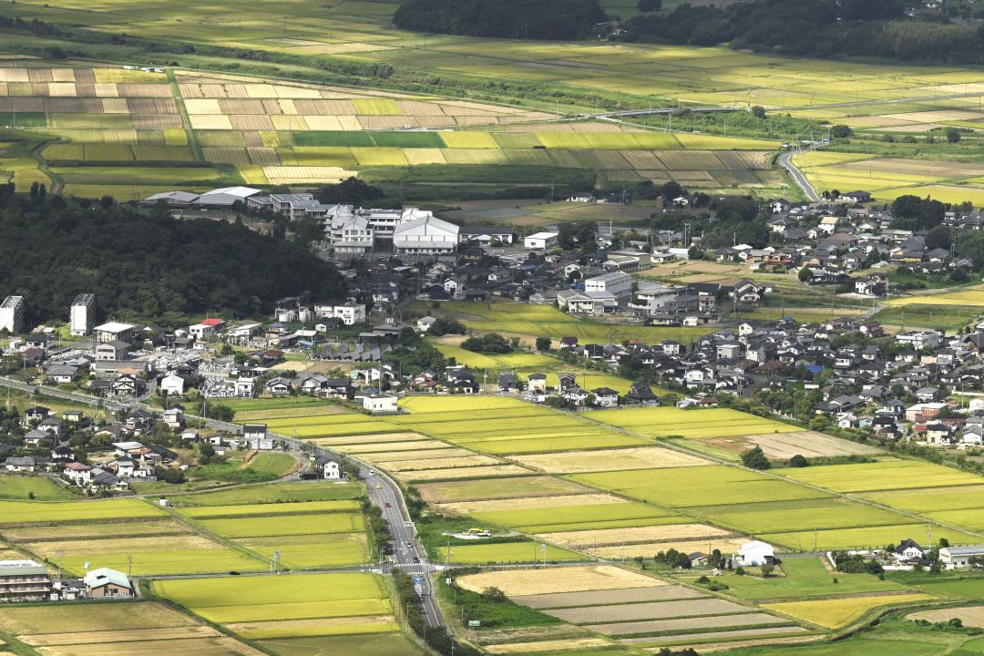 稲の収穫期を迎えパッチワークのような光景が広がる水田=15日、桜川市真壁町山尾から
