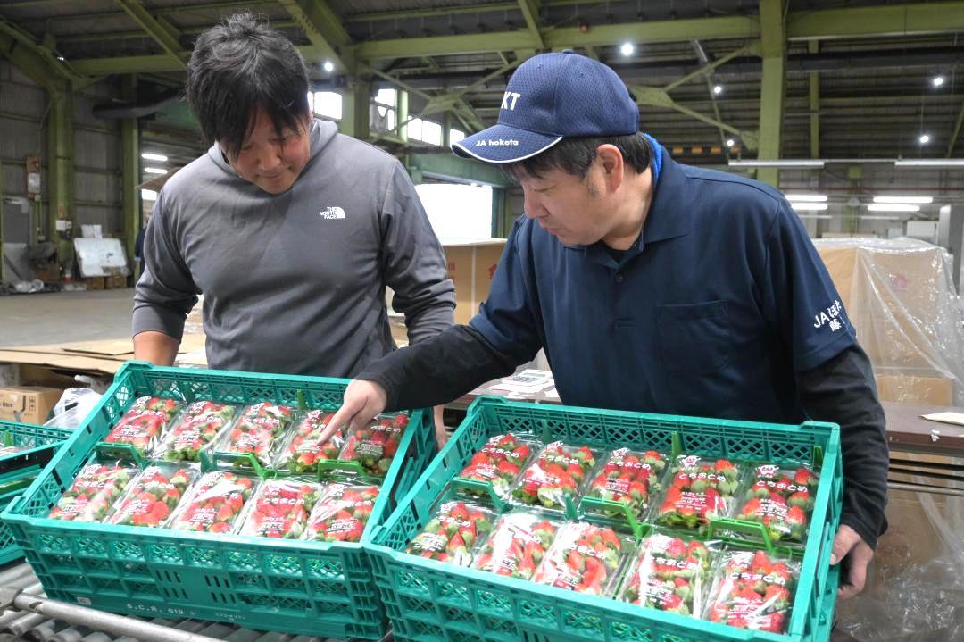 初出荷するイチゴを確認する検査員と生産者=鉾田市徳宿
