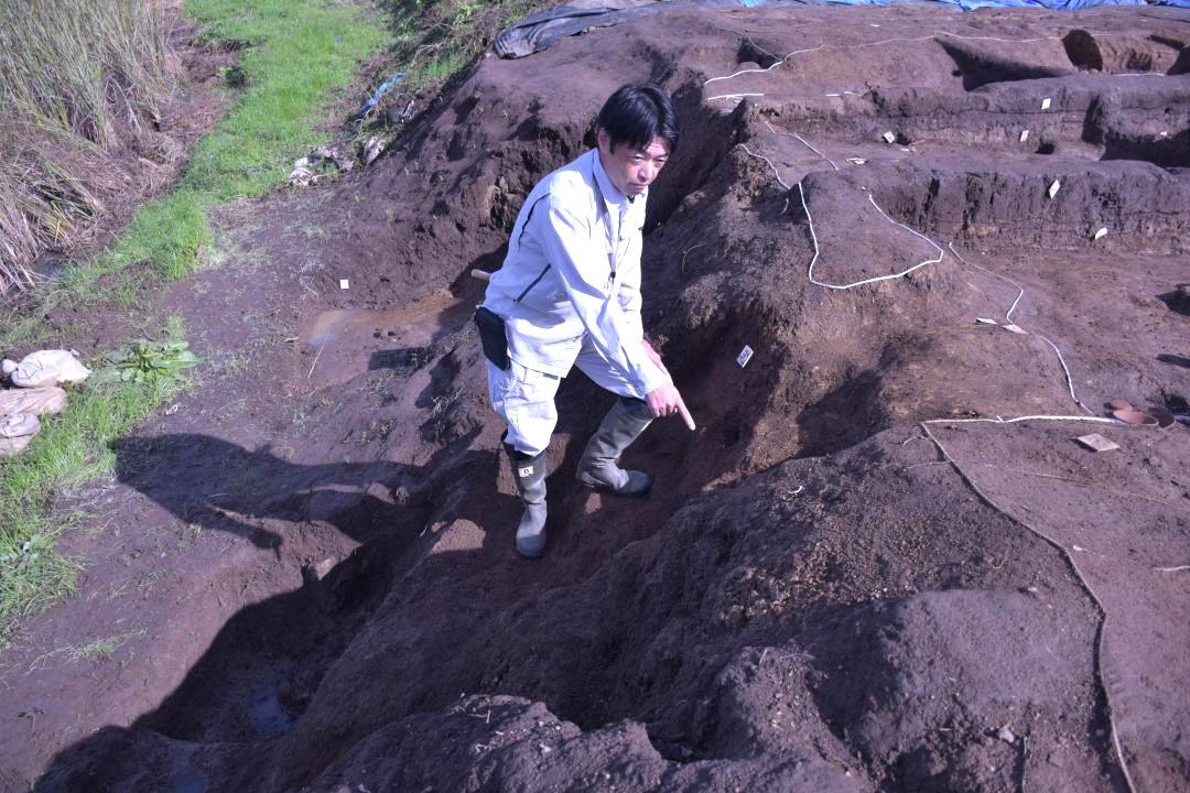 本年度の調査で見つかった階段跡。左側に堀、右側に竪穴状の遺構がある=桜川市真壁町古城
