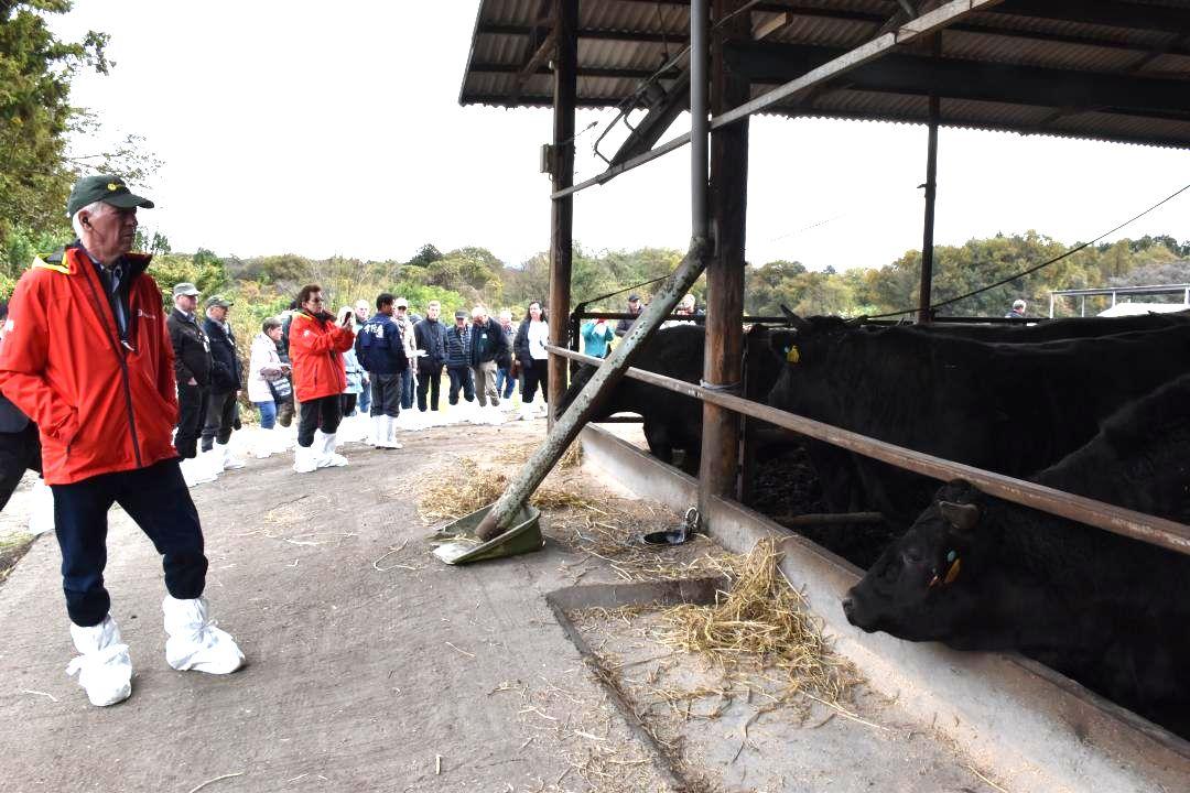 牛舎を見学するドイツ人農業者たち=常陸大宮市野上
