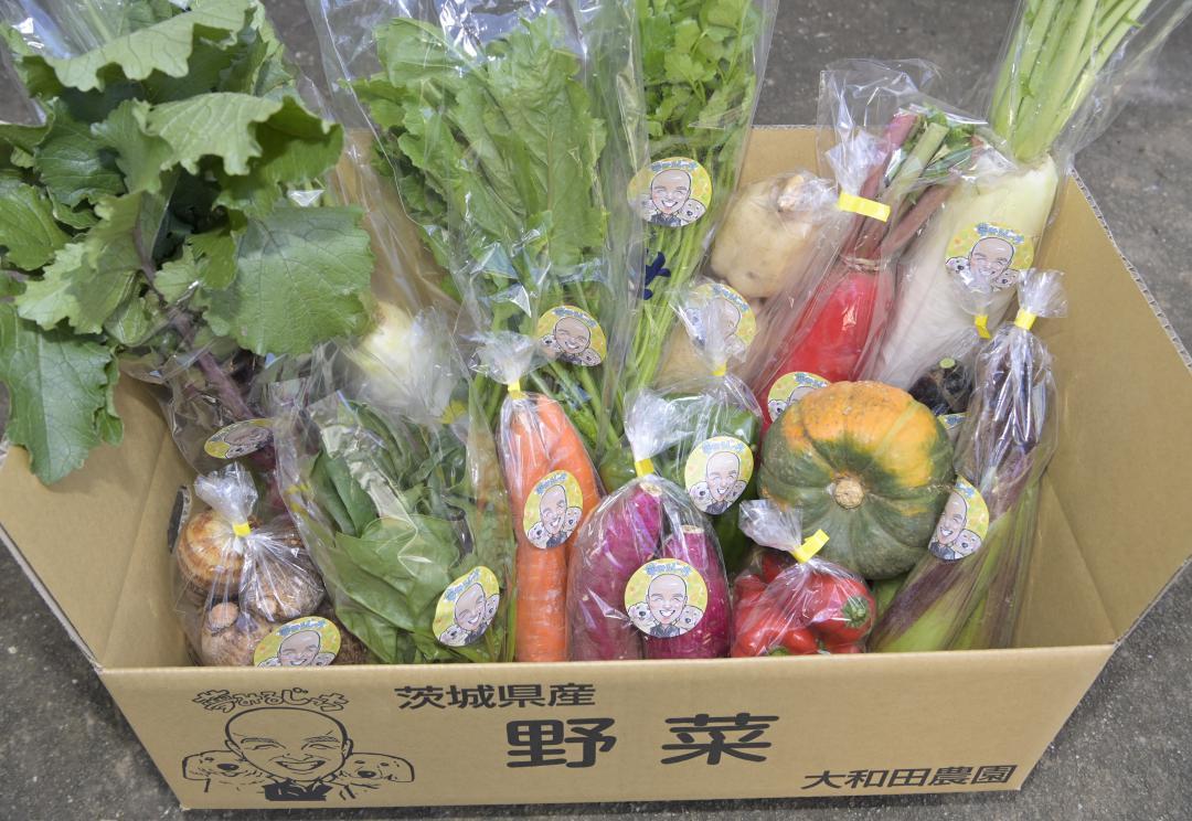 サブスクリプション(定額利用)登録者に、月1回届けられる「季節の野菜セット」
