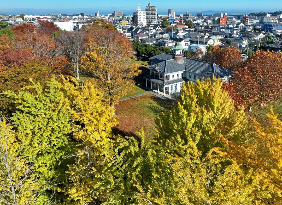 秋色に染まる県立歴史館の庭園=22日午前、水戸市緑町(小型無人機から)
