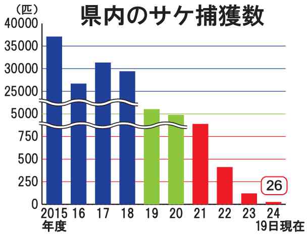 県内のサケ捕獲数
