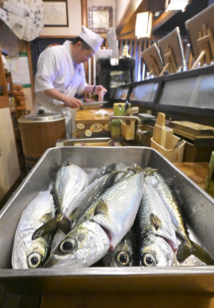 すし店に届けられた「常陸乃国まさば」=水戸市大串町
