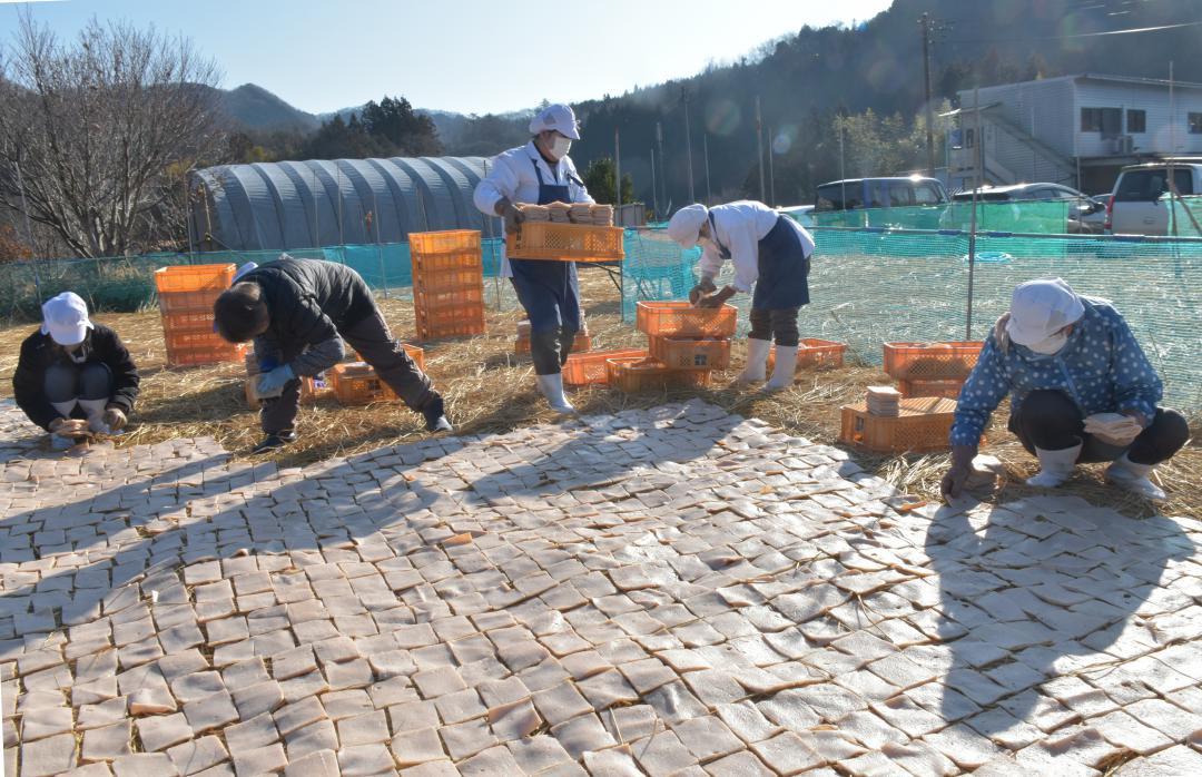 わらの上に敷き並べ、凍みこんにゃく作りに励む従業員ら=大子町袋田
