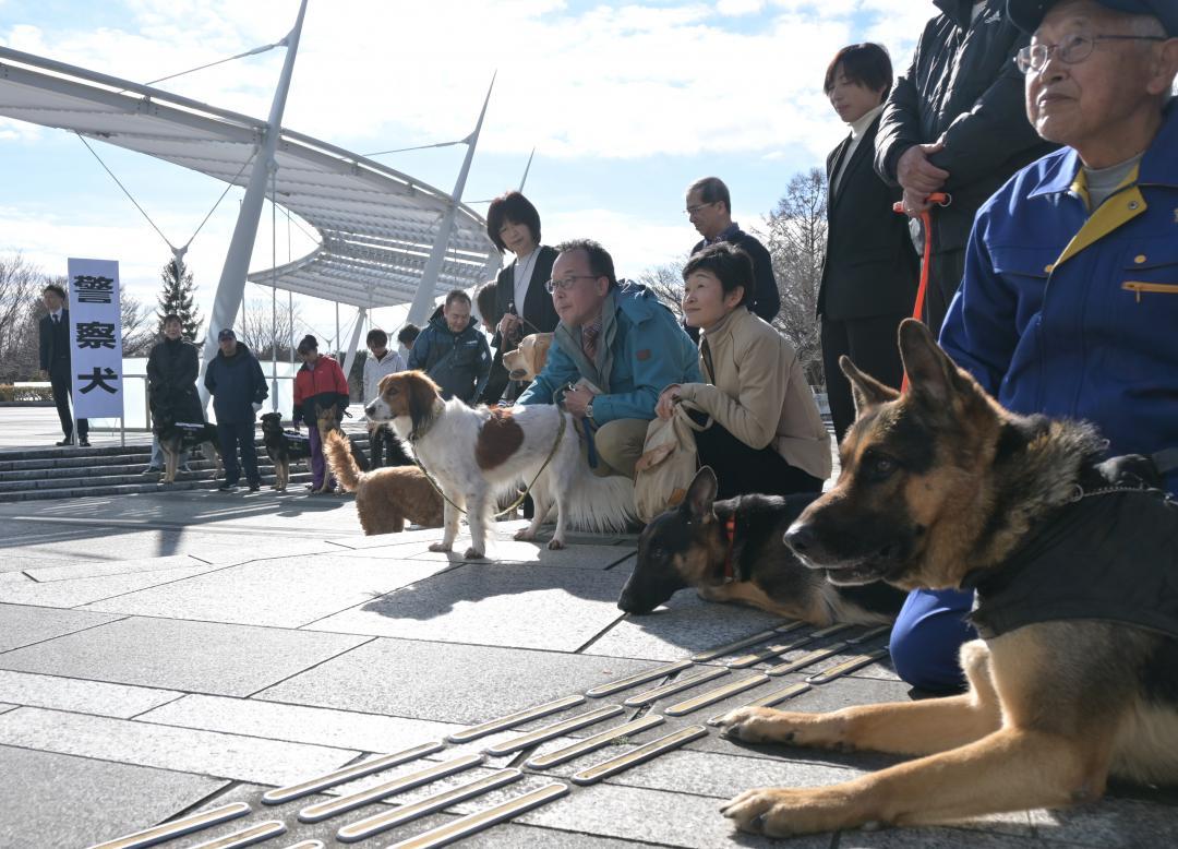 嘱託式を終えて県警本部前で記念撮影をする警察犬と指導士ら=水戸市笠原町
