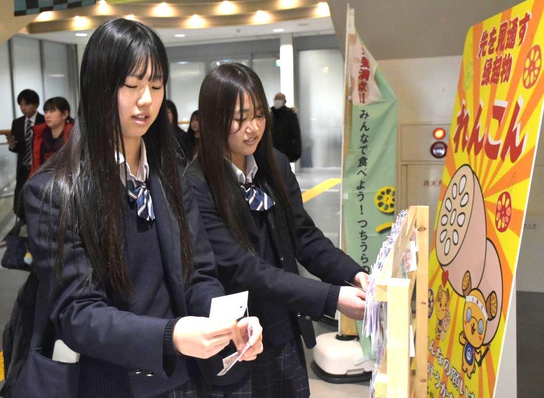 レンコン模様のカードで願掛けする高校生=土浦市役所
