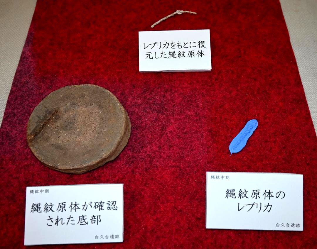 発見された「縄文原体」の圧痕の展示=石岡市総社の市立ふるさと歴史館
