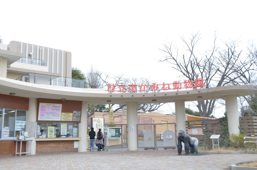 かみね動物園(資料)