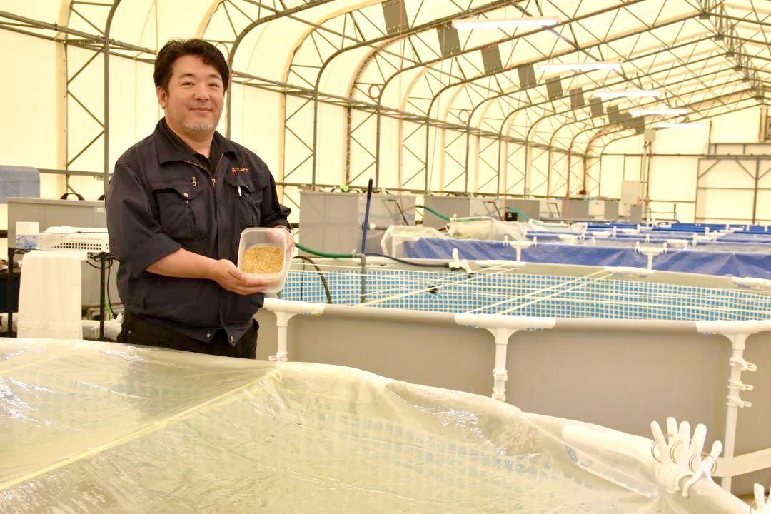 プール(手前)の中で、干し芋の残渣を原料とした餌で育つ「はるか海老」について紹介する松木徹社長=ひたちなか市津田東