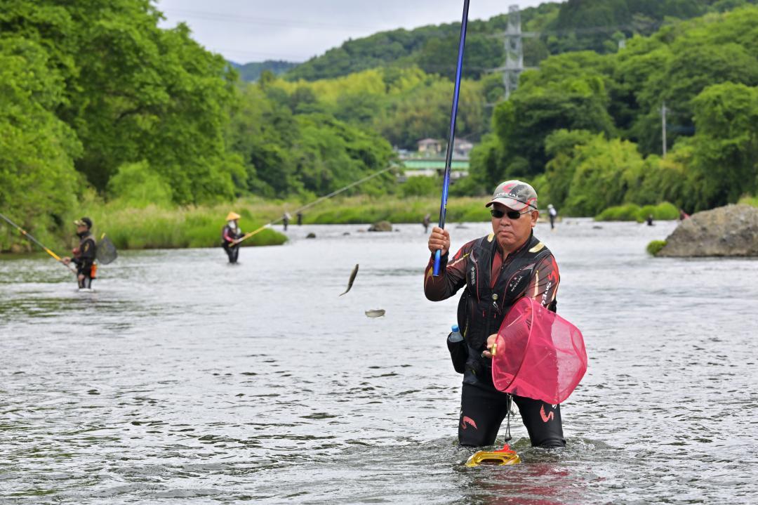 アユ釣りが解禁され、アユを釣り上げる釣り人=1日午前7時8分、大子町川山の久慈川
