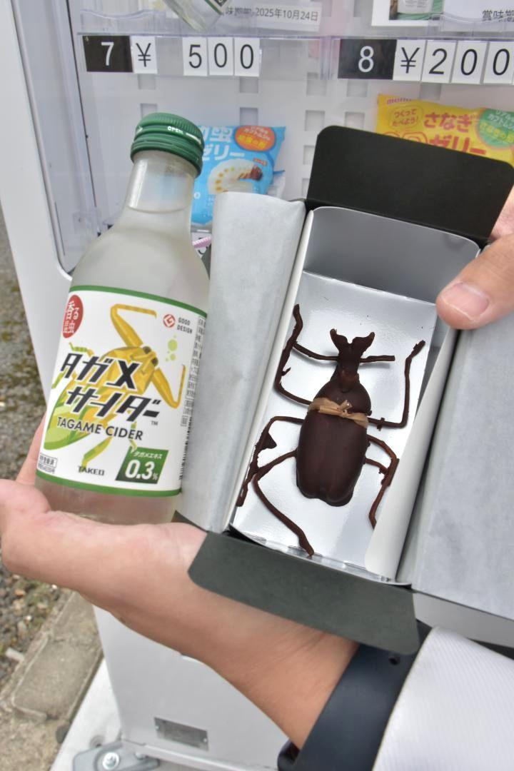 タガメサイダー(左)とカブトムシの形をしたチョコレート=城里町石塚