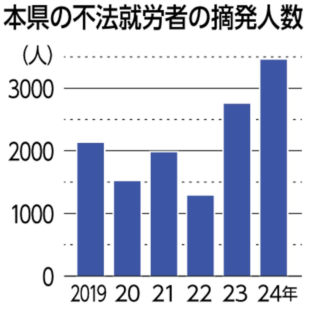 茨城県の不法就労者の摘発人数