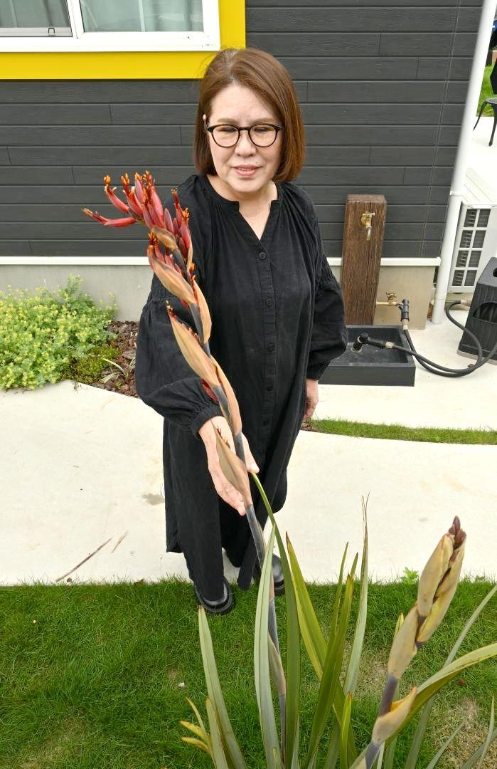 自宅の庭先で咲いたニューサイランの花を眺める三浦しつ江さん=取手市岡
