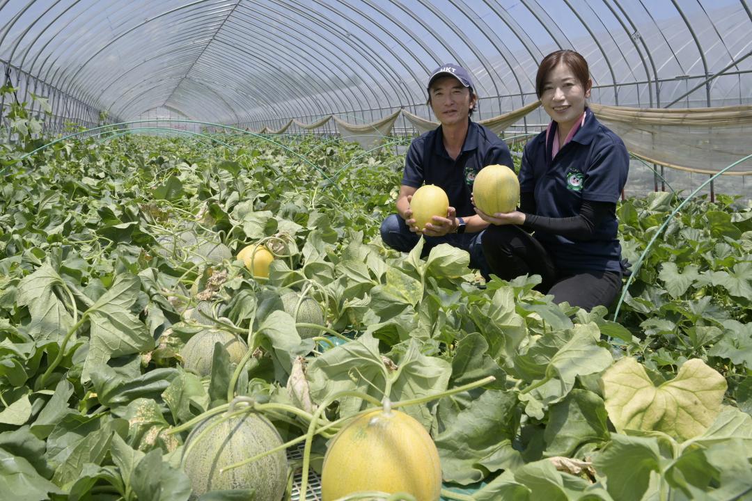 幻のメロン「優香」を手に笑顔の方波見嘉弘さんと妻の裕美さん=鉾田市安房
