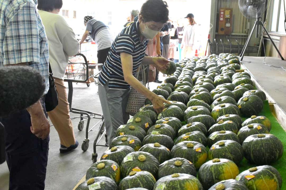特産物「茂宮かぼちゃ」の初売りでかぼちゃを手に取る買い物客=日立市大和田町

