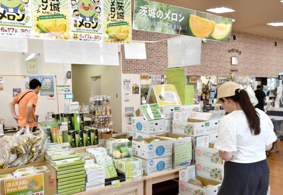 道の駅ごかのメロンフェア=五霞町ごかみらい
