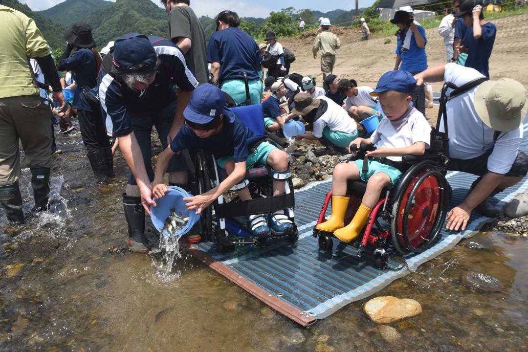 アユの放流体験を楽しむ大子特別支援学校の児童生徒ら=大子町頃藤の久慈川
