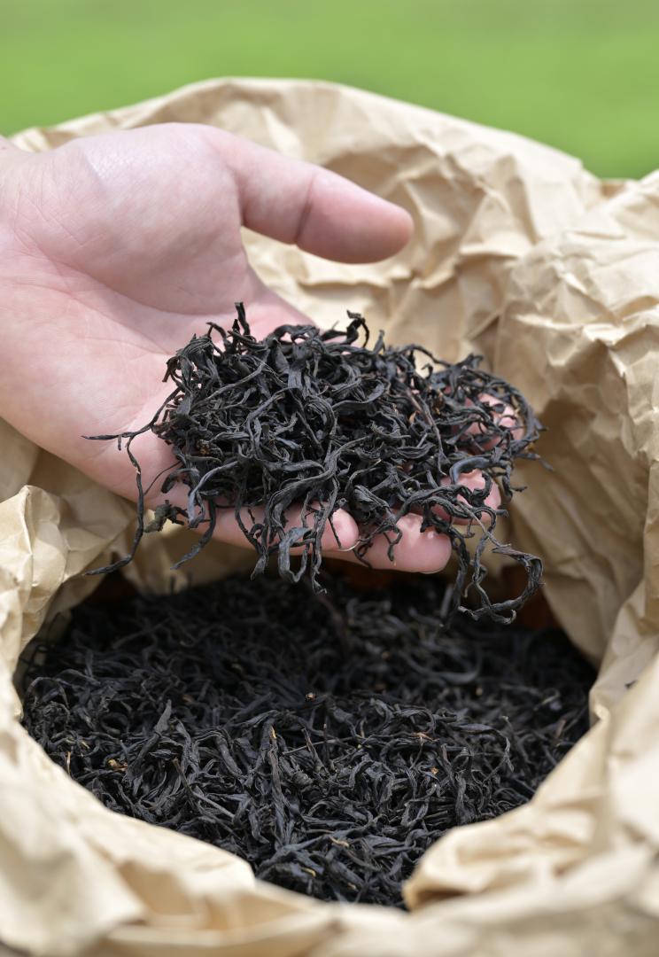 今年の一番茶から作った荒茶