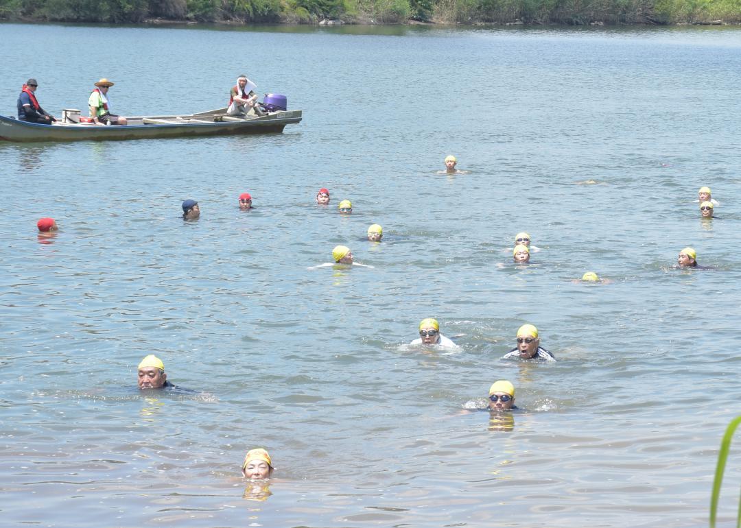 水戸の夏恒例の「那珂川遠泳大会」が開かれた=水戸市
