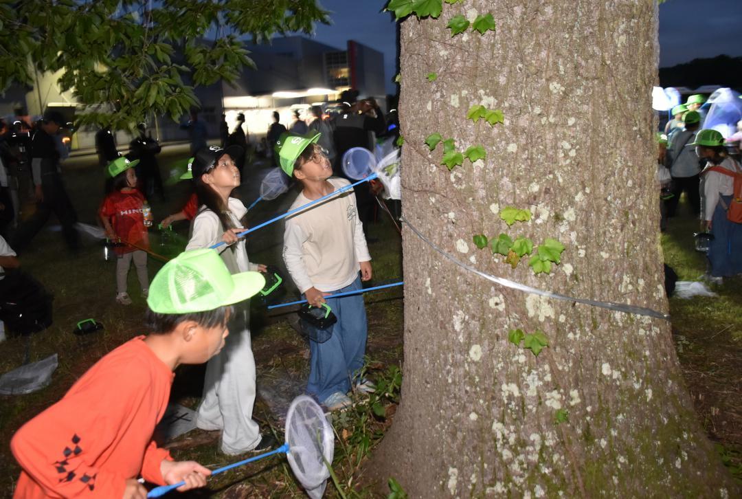 夜の虫捕りを楽しむ子どもたち=古河市名崎