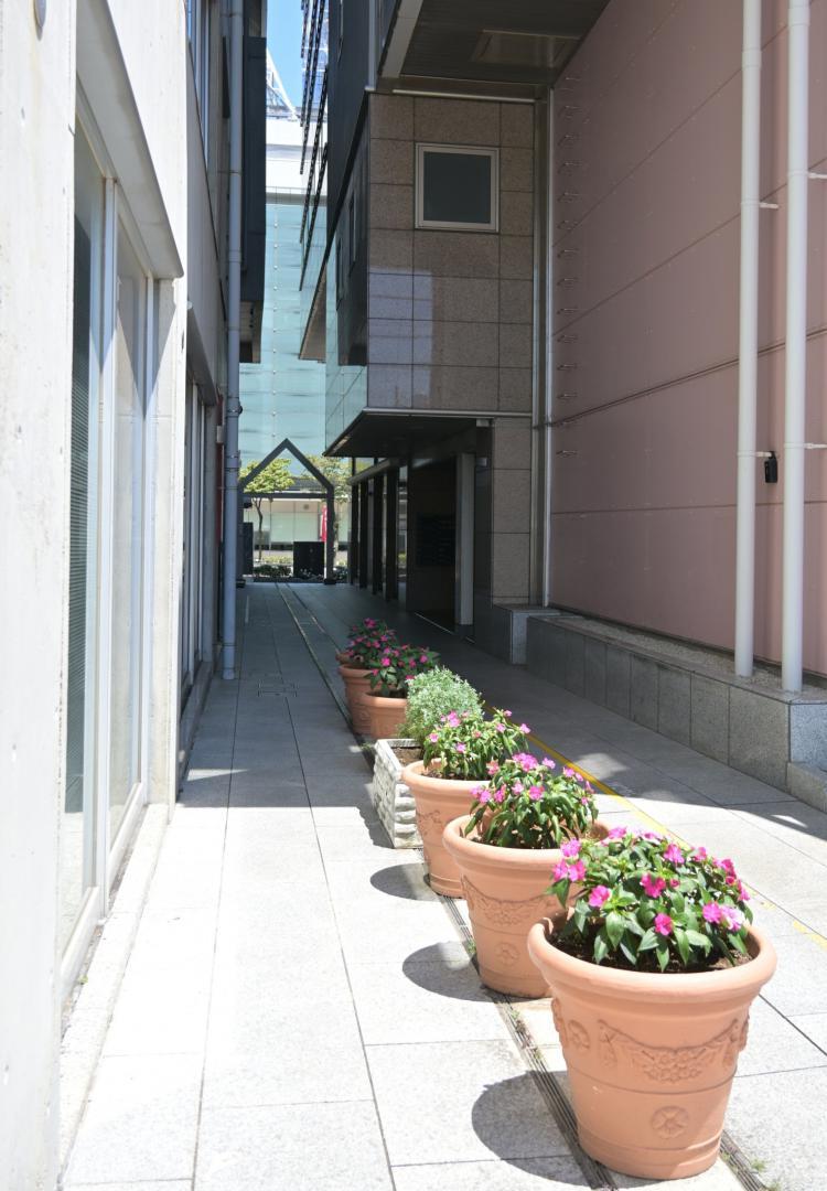 容疑者が裏通りから国道50号側に抜ける際に通ったとみられる路地=29日午前、水戸市南町