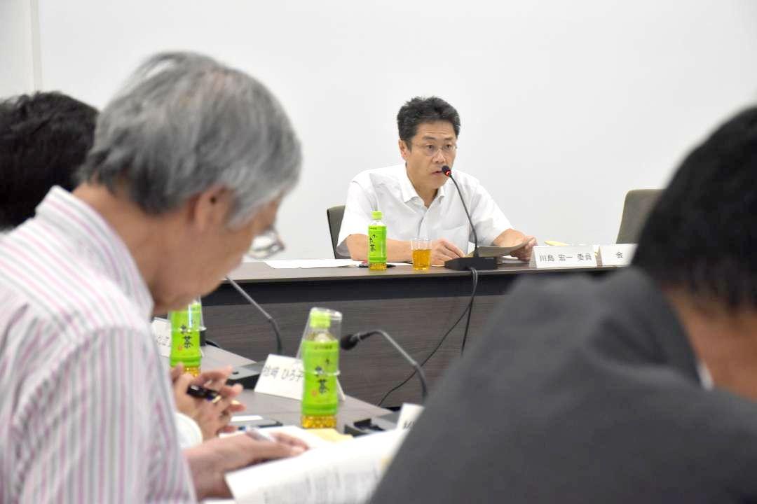 改定作業を進める水戸市景観計画について、市都市計画審議会で委員への意見聴取が行われた=同市役所
