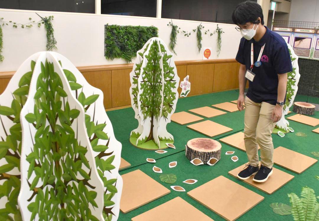 昆虫の擬態をテーマにしたコーナー=つくば市吾妻
