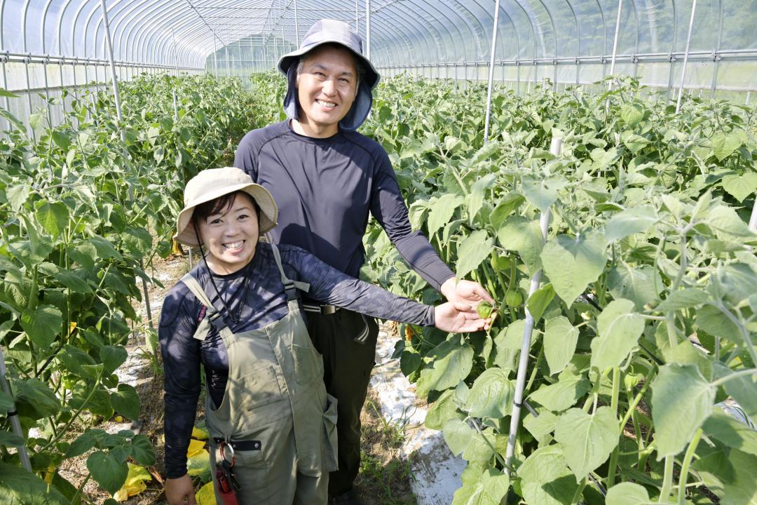 ハウス内の食用ホオズキに手を添える笹川雄也さんと妻の美奈さん=高萩市上君田