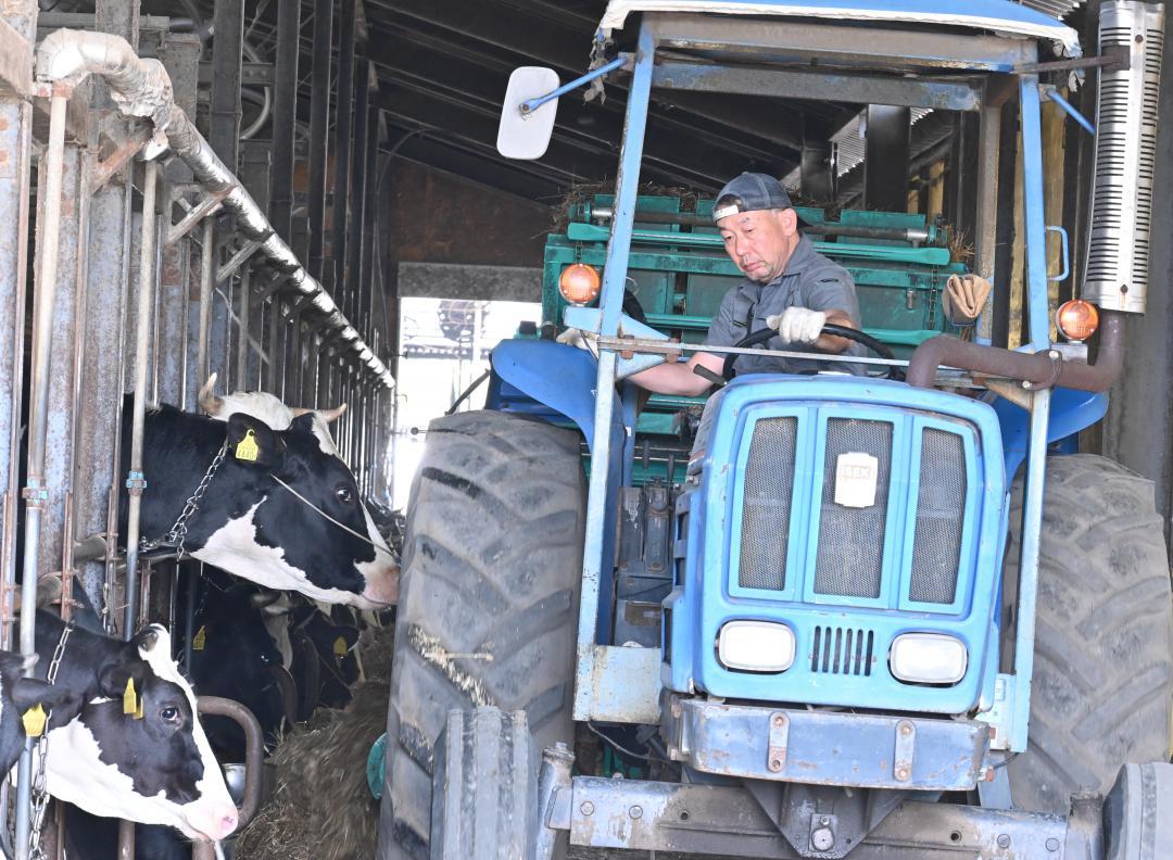 酪農を引き継ぐ、伊藤フミ子さんの孫・隆之さん=守谷市大木
