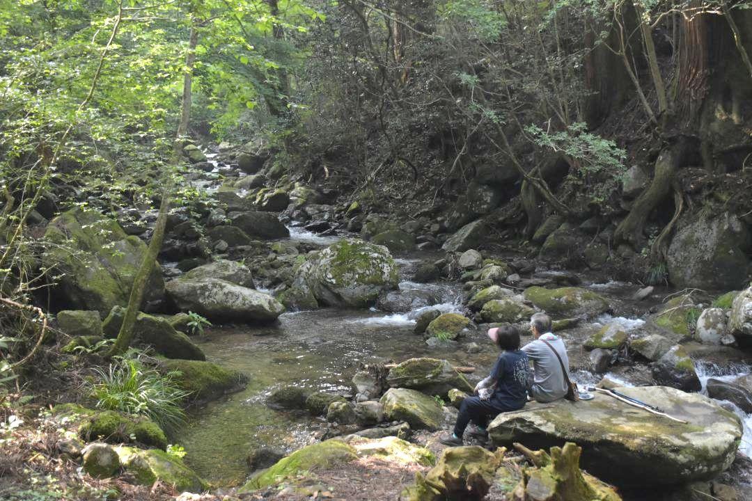 花園川で涼をとる観光客=北茨城市華川町花園
