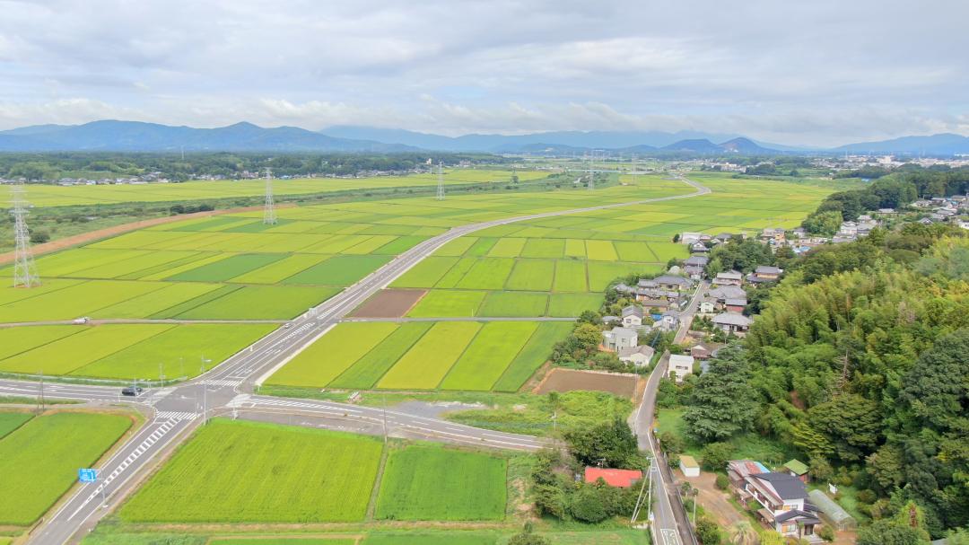 平和橋近くの北根本交差点付近から石岡市街地方面へと延びる開通区間(県提供)