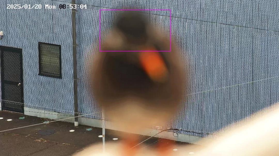 火の見櫓AIによる「誤検知」の例。ぼやけた鳥の影を煙と誤って検知した(大洗町消防本部提供)
