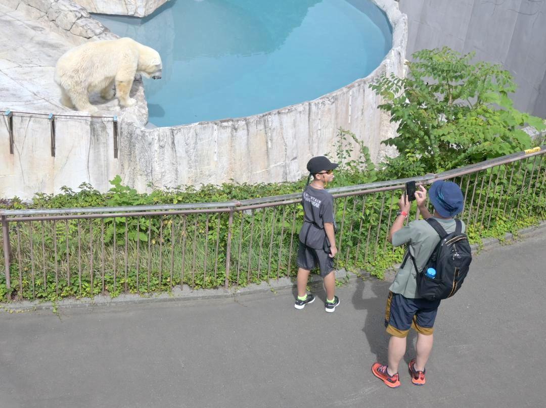 円山動物園でホッキョクグマの写真を撮る親子ら=札幌市