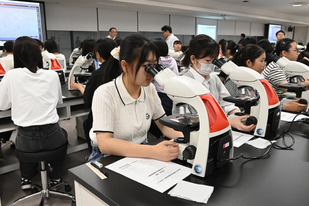 順天堂大薬学部で顕微鏡を使った観察を体験する茨城県の高校生たち=8日、千葉県浦安市