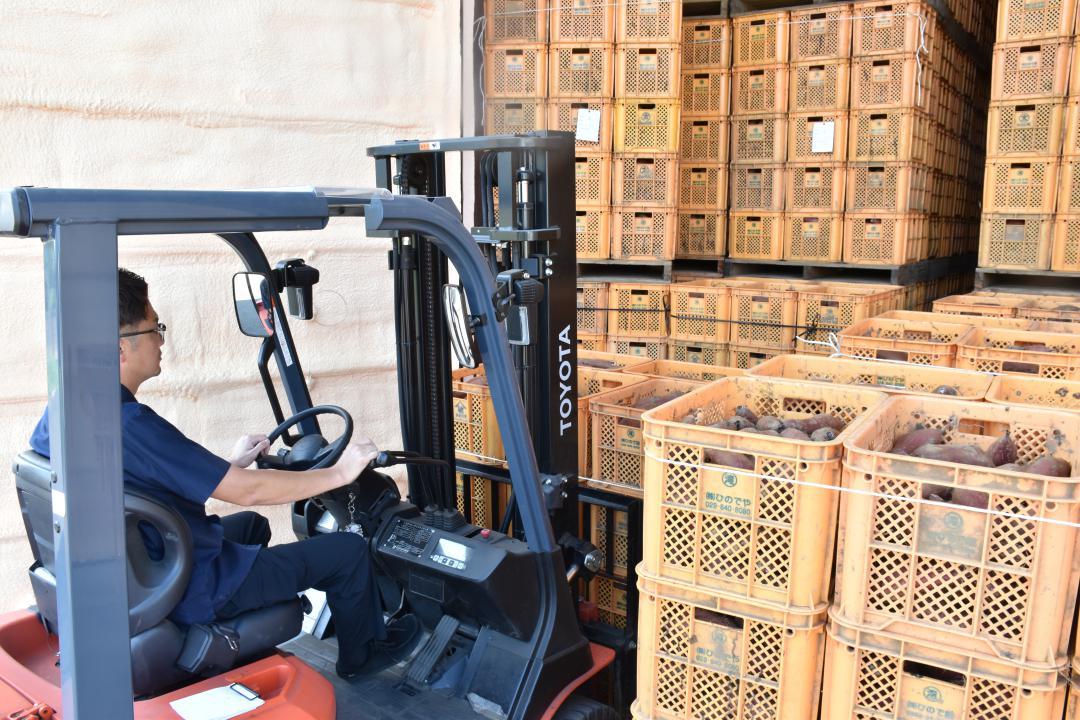 約6メートルの大型貯蔵庫でサツマイモは低温管理され、年間通じて国内外に販売されていく=かすみがうら市深谷
