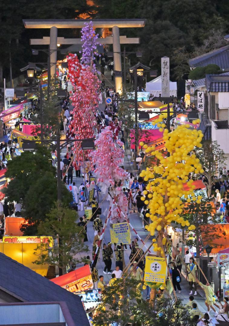 提灯を付けた青竹を鹿島神宮に運び奉納する「提灯まち」=1日夕、鹿嶋市宮中