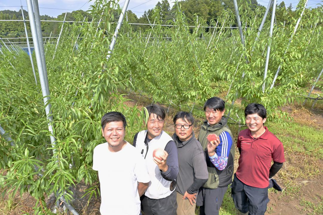 2024年に城里町の協力で遊休農地を活用し、同町錫高野地区で苗木を定植、栽培を始めた。桃の生産担当者ら=同町錫高野