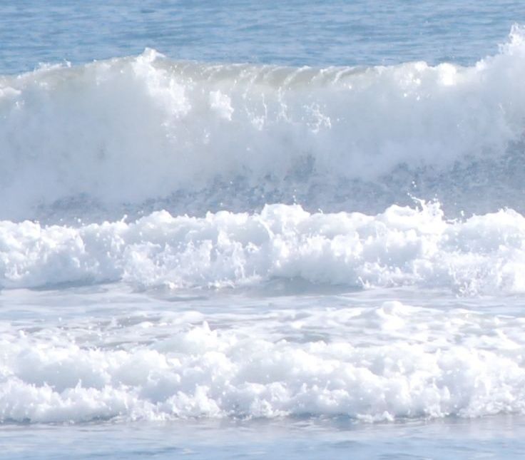 県内の海（資料）
