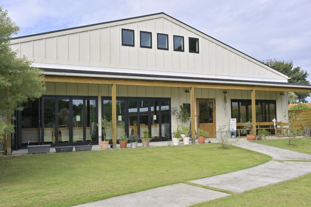 清潔感のある白を基調に、木柱や植物の緑が映える外観
