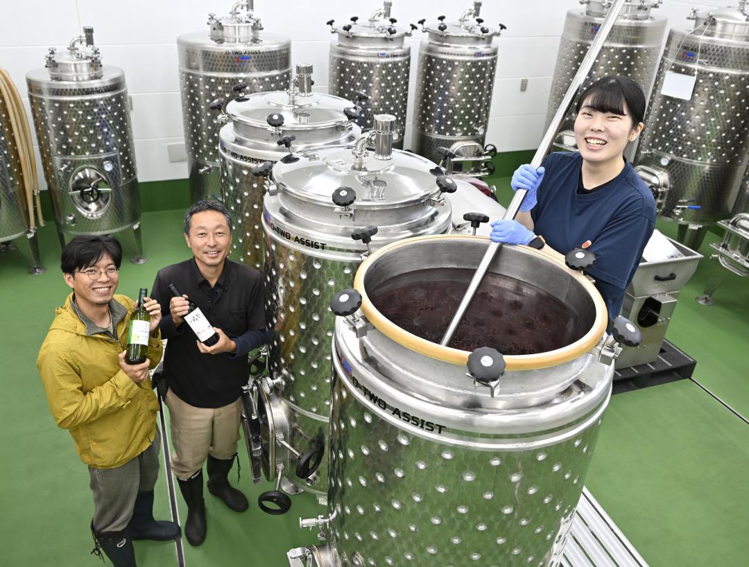 自ら栽培したブドウでワインを醸造する武関拓也さん、山口景司さん、成田楓さん(左から)=常陸太田市瑞竜町