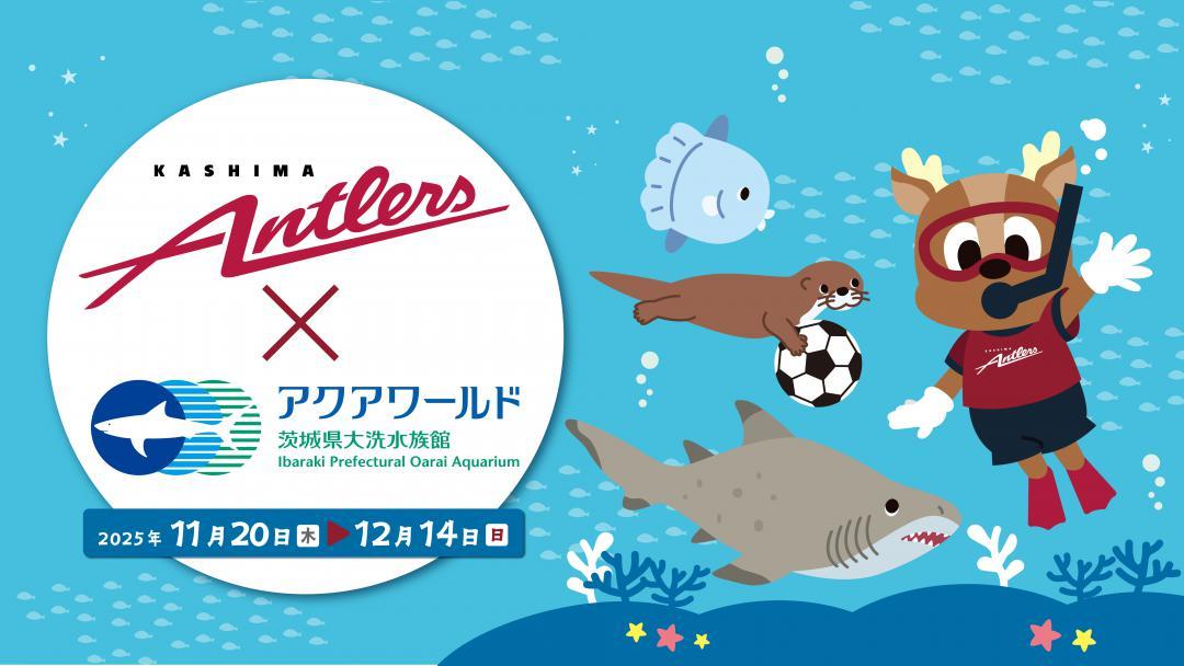 鹿島アントラーズとアクアワールド県大洗水族館のコラボイベントのイメージ