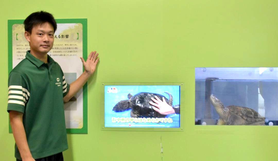 「いばらき大外来種展」をアピールするアクアワールド県大洗水族館の飼育員=大洗町磯浜町