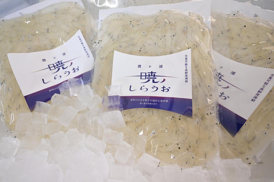 鮮度の良い状態で真空パックされた「暁のしらうお」